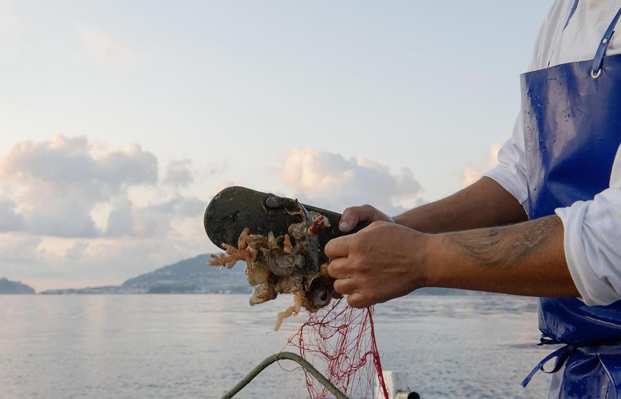 In Costiera Sorrentina pescatori a caccia di rifiuti © 