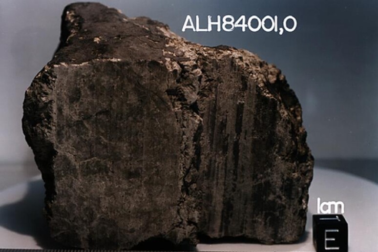 Il meteorite marziano ALH84001, scoperto in Antartide nel 1984 (fonte: NASA/JSC/Stanford University) - RIPRODUZIONE RISERVATA