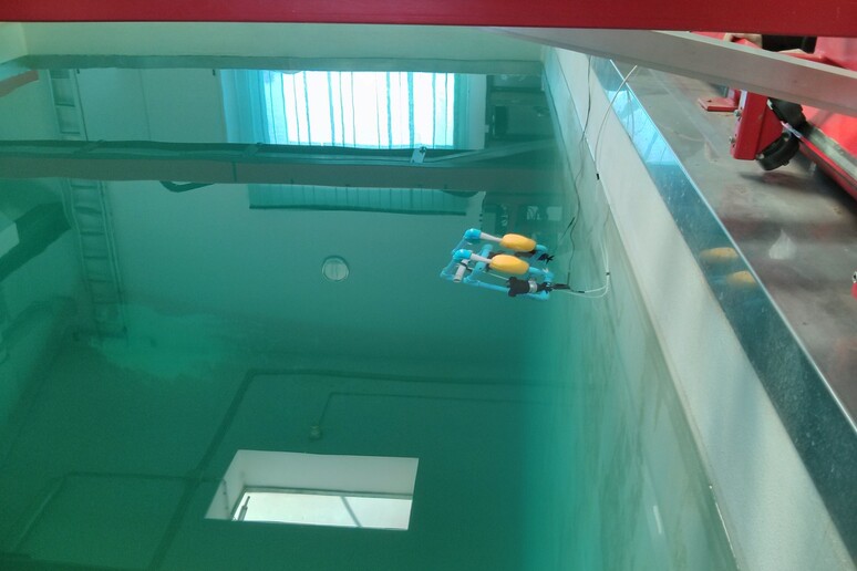 Il Rouv esegue test nella vasca (fonte: Claudia Ceccarelli) - RIPRODUZIONE RISERVATA