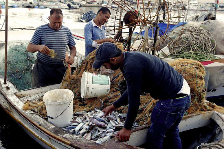 Pescatori nel porto di Sidone in Sud Libano -     RIPRODUZIONE RISERVATA