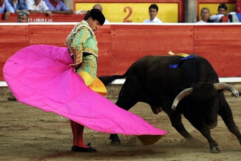 'Guerra delle corrida ', anche le Baleari le aboliscono -     RIPRODUZIONE RISERVATA