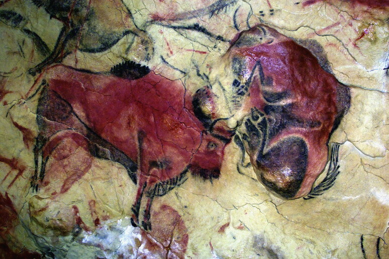 Replica delle pitture rupestri della Grotta di Altamira in Spagna, esposta nel museo di Altamira -     RIPRODUZIONE RISERVATA
