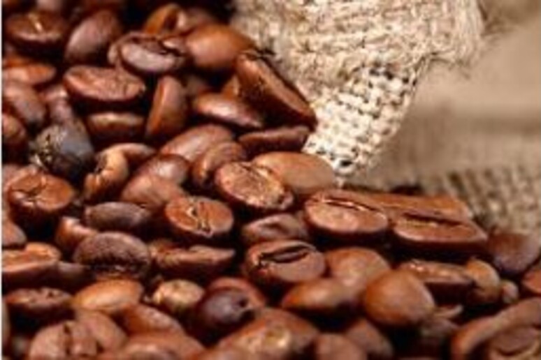Il caffè è uno scudo per la salute del cuore - RIPRODUZIONE RISERVATA