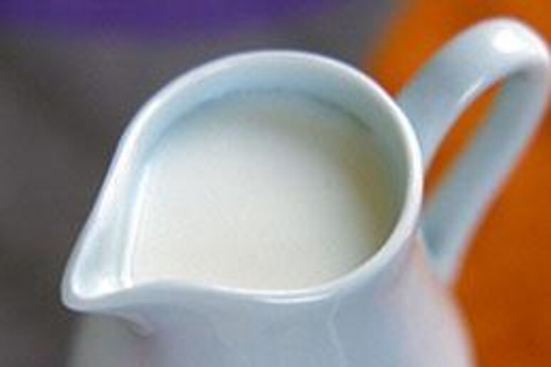 Latte, la produzione internazionale sale del 2,1% nel 2018 - RIPRODUZIONE RISERVATA
