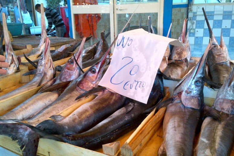 Una immagine del pesce spada sotto misura al mercato di Ballarò -     RIPRODUZIONE RISERVATA