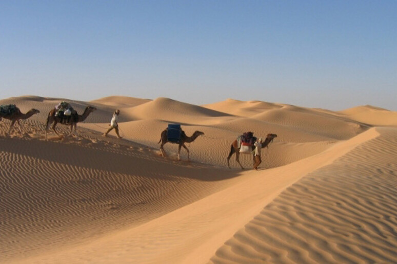 Il deserto tunisino sempre più nelle proposte degli operatori turistici -     RIPRODUZIONE RISERVATA