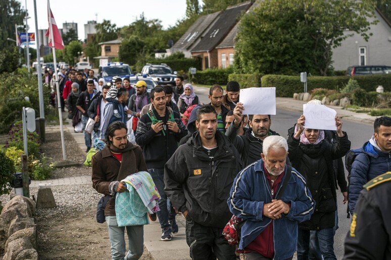 Migranti arrivati dalla Germania in nave e treno sabato notte che camminano nel sud della Danimarca © ANSA/AP