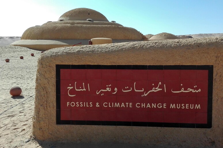 Inaugurato nel deserto egiziano il "Museo dei fossili e dei mutamenti climatici" -     RIPRODUZIONE RISERVATA