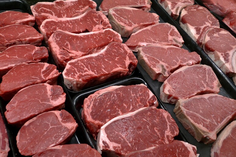 Carne rossa, da non demonizzare anche in chi affronta tumore © ANSA/AP