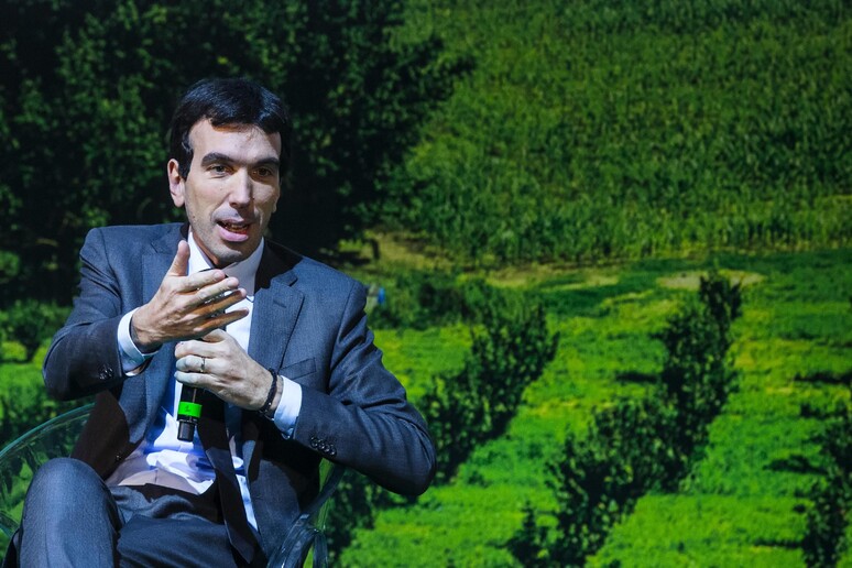 il ministro per le Politiche agricole, Maurizio Martina - RIPRODUZIONE RISERVATA