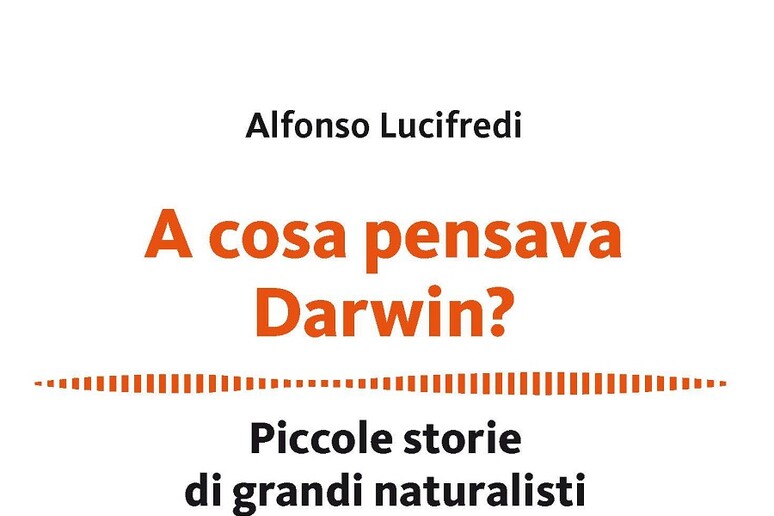 “A cosa pensava Darwin? Piccole storie di grandi naturalisti”, del naturalista e biologo Alfonso Lucifredi (Hoepli, 164 pagine, 12,90 euro) - RIPRODUZIONE RISERVATA