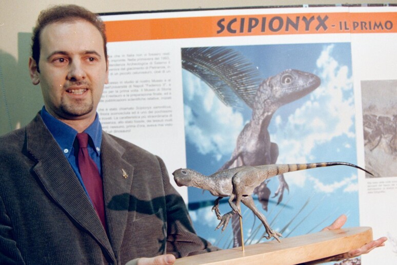 Paleontologist Cristiano Dal Sasso in an archive photo -     ALL RIGHTS RESERVED