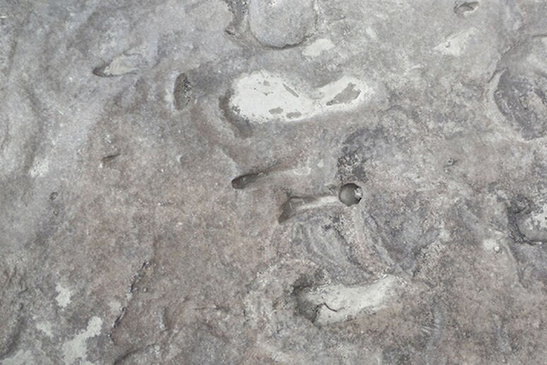 Homo Erectus footprints (source: La Sapienza University, Rome) -     ALL RIGHTS RESERVED