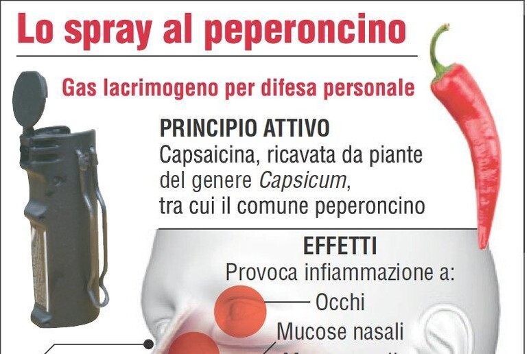 Spray al peperoncino in classe - Notizie 
