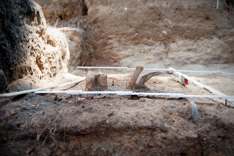 The excavation site marks the location of a  Stone Age burrial (archive) -     RIPRODUZIONE RISERVATA