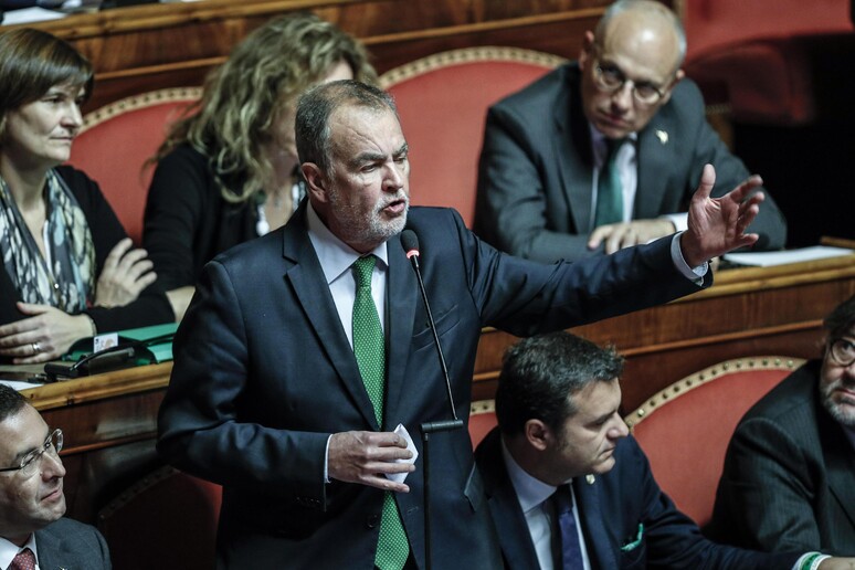 Roberto Calderoli in Aula al Senato - RIPRODUZIONE RISERVATA