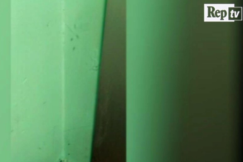 Un fermo immagine del video di denuncia del paziente ricoverato per due mesi all 'ospedale  Civico di Palermo: una fila di formiche che corre lungo i telai della finestra e lungo il  battiscopa di una corsia - RIPRODUZIONE RISERVATA