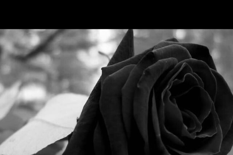 La rosa nera in segno di lutto postata su Facebook da Maria Concetta Riina in ricordo del padre, Toto ' © ANSA/Facebook