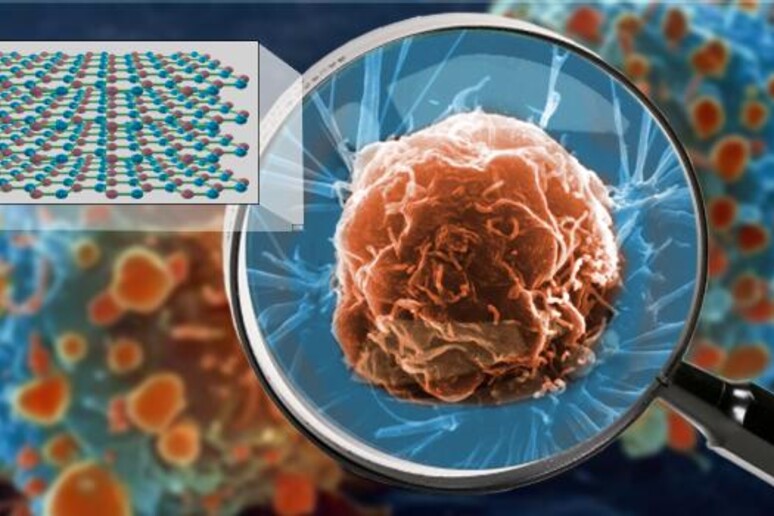 Un 'iperlente è in grado di ottenere immagini di organismi piccolissimi, come virus sulla superficie di una cellula (fonte: Keith Wood, Vanderbilt University) - RIPRODUZIONE RISERVATA