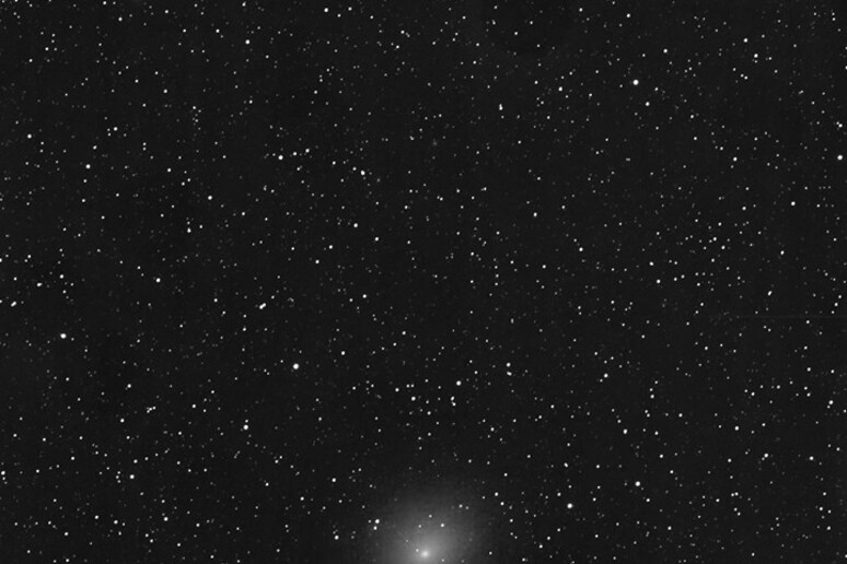 La cometa 45P/Honda-Mrkos-Pajdusakova fotografata da Rolando Ligustri (fonte: Rolando Ligustri, New Mexico) - RIPRODUZIONE RISERVATA