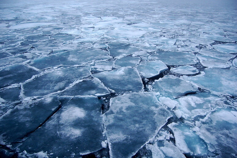 Doppio record negativo per i ghiacci polari (fonte: Pink floyd88 a) - RIPRODUZIONE RISERVATA