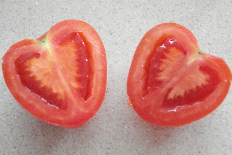 Ottenuti pomodori senza semi con la tecnica del taglia-incolla io Dna (fonte: Maderibeyza) - RIPRODUZIONE RISERVATA