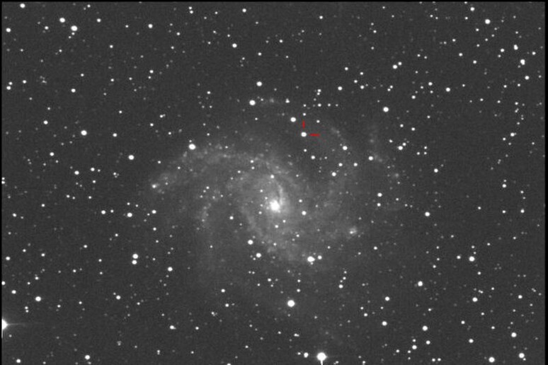 La supernova SN 2017eaw fotgrafata dall 'astrofisico Gianluca Masi (fonte: Gianluca Masi, The Virtual Telescope Project) - RIPRODUZIONE RISERVATA