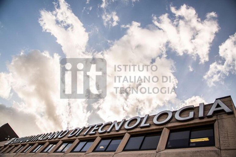 IIT Fondazione Istituto Italiano di Tecnologia - RIPRODUZIONE RISERVATA