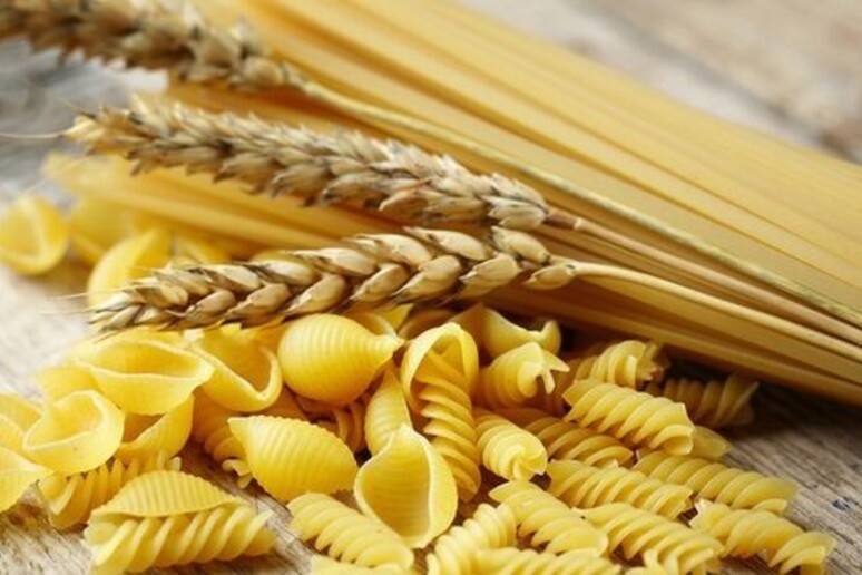 La pasta è l 'alimento preferito del 46% degli italiani - RIPRODUZIONE RISERVATA