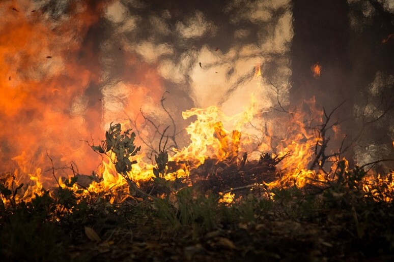 L 'uomo è il primo responsabile degli incendi (fonte: skeeze/ Pixabay) - RIPRODUZIONE RISERVATA