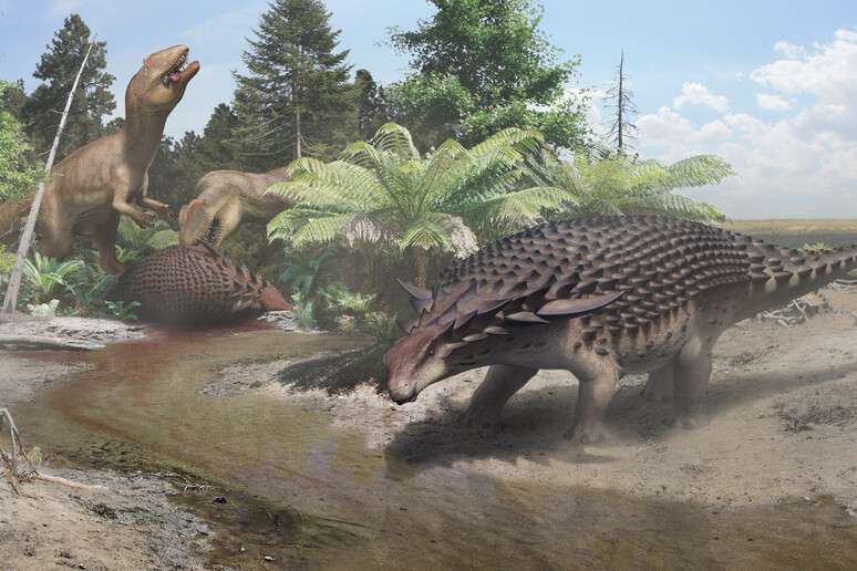 Una ricostruzione dell 'aspetto di un esemplare di Borealopelta markmitchelli, vissuto 110 milioni di anni (fonte: Royal Tyrrell Museum of Palaeontology, Drumheller, Canada) - RIPRODUZIONE RISERVATA