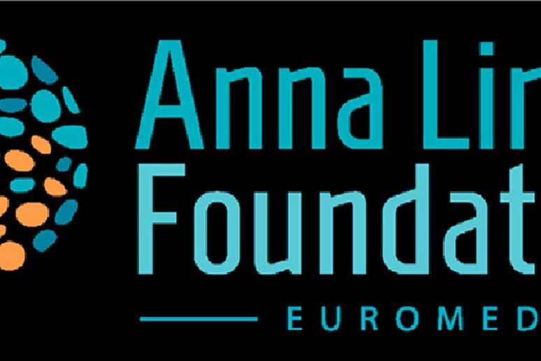 logo anna Lindh -     RIPRODUZIONE RISERVATA