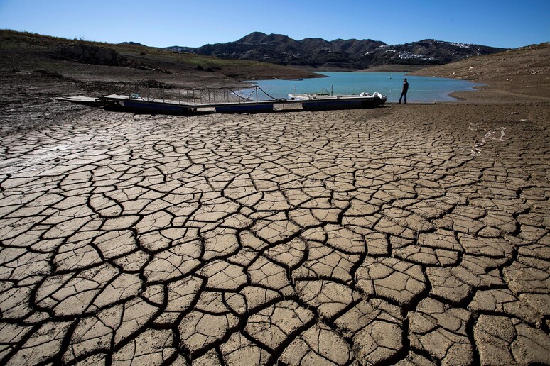 In Australia siccità nel 99% del New South Wales , aiuti straordinari - RIPRODUZIONE RISERVATA