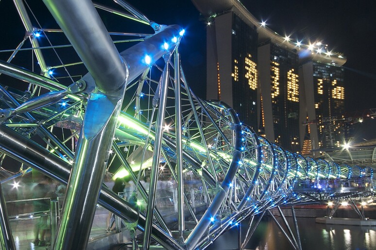 Il Double Helix bridge a Marina Bay, Singapore (fonte: William Cho) - RIPRODUZIONE RISERVATA