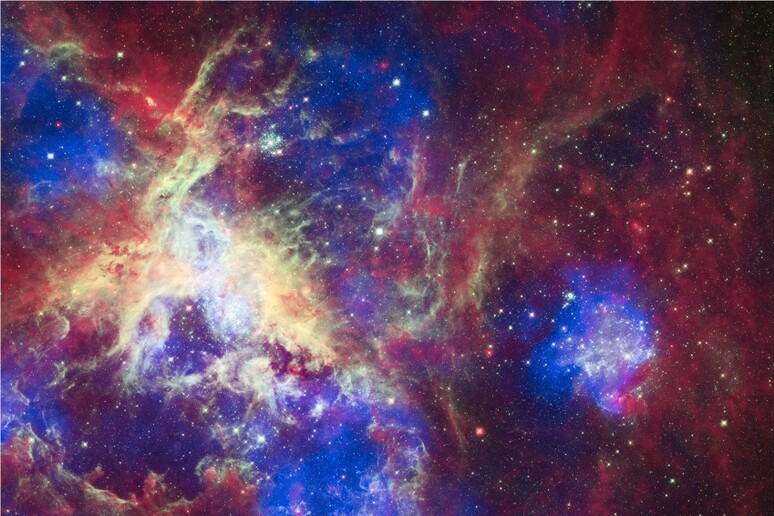 La  Nebulosa Tarantola, dove è stato individuato un gruppo di stelle di massa da 15 a 200 volte quella del Sole (fonte NASA) - RIPRODUZIONE RISERVATA