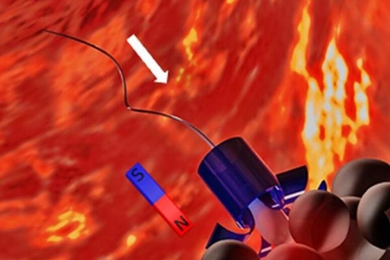 Rappresentazione grafica di spermatozoi usati come navette anticancro che, guidati da campi magnetici, liberano farmaci dentro le cellule del tumore al collo dell’utero (fonte: American Chemical Society) - RIPRODUZIONE RISERVATA