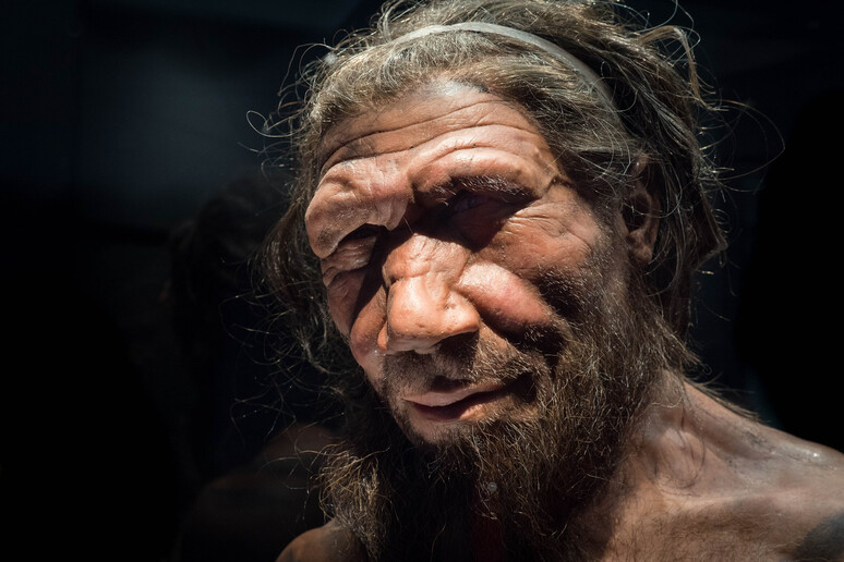 Rappresentazione artistica di un uomo di neanderthal (fonte: Michael Brace) - RIPRODUZIONE RISERVATA