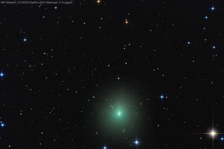 Prima immagine della cometa di Natale 46P/Wirtanen, scattata a fine ottobre, priva della sua chioma perché ancora lontana dal Sole. (fonte: Rolando Ligustri, Uai) - RIPRODUZIONE RISERVATA