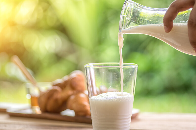 Il latte intero fa bene al cuore, aumenta il colesterolo buono - RIPRODUZIONE RISERVATA