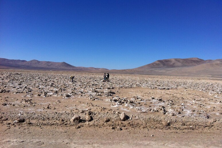 Il cuore iper-arido del deserto di Atacama. E ' qui che sono stati scoperti batteri in grado di soravvivere per anni alla siccità (fonte: Dirk Schulze-Makuch) - RIPRODUZIONE RISERVATA