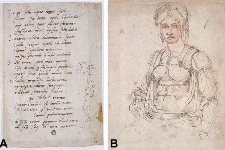 La caricatura di Michelangelo nascosta nel ritratto di Vittoria Colonna (fonte: Clinical Anatomy) - RIPRODUZIONE RISERVATA