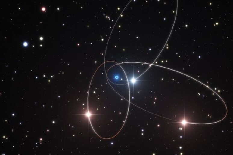 SO-2, una stella grande 15 volte il Sole (fonte: ESO/M. Parsa/L. Calçada) - RIPRODUZIONE RISERVATA