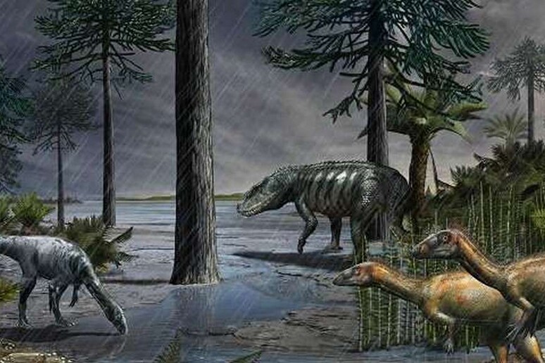 Una scena di 232 milioni di anni fa, subito dopo l 'arrivo dei dinosauri (fonte: Davide Bonadonna) - RIPRODUZIONE RISERVATA