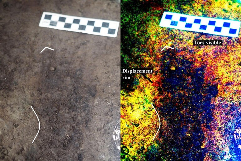 Una delle antiche impronte scoperte in Canada (fonte: Duncan McLaren) - RIPRODUZIONE RISERVATA