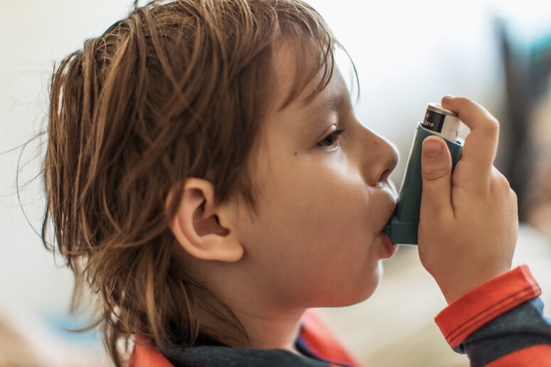 L 'asma è una malattia cronica e colpisce tre milioni di italiani - RIPRODUZIONE RISERVATA