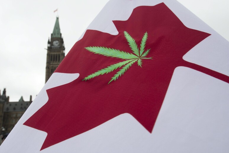 Sì Parlamento del Canada  a legalizzazione marijuana © ANSA/AP