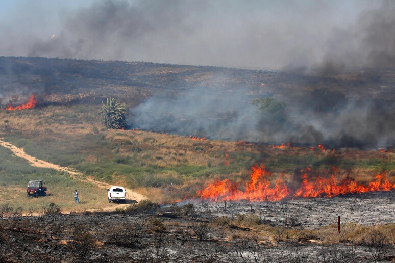 Incendi nel Neghev occidentale in seguito al lancio di aquiloni incendiari da Gaza © ANSA/EPA