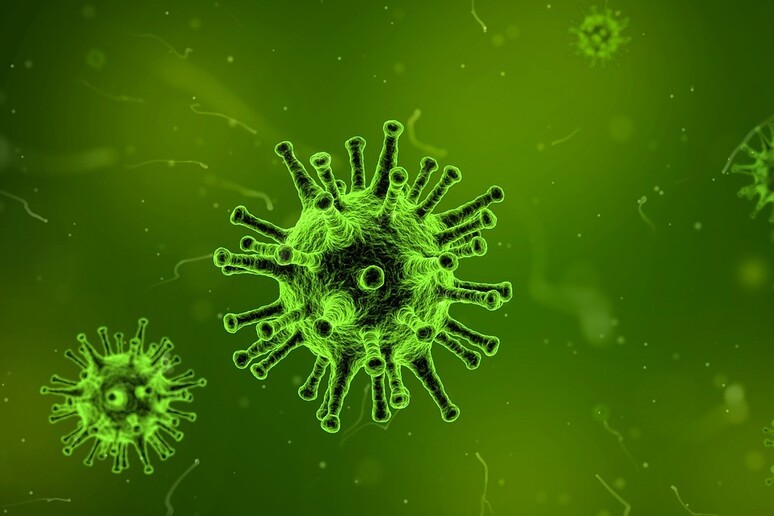 Osservata in azione la trappola molecolare tesa dal virus dell 'influenza per catturare le cellule da infettare (fonte: Pixabay) - RIPRODUZIONE RISERVATA