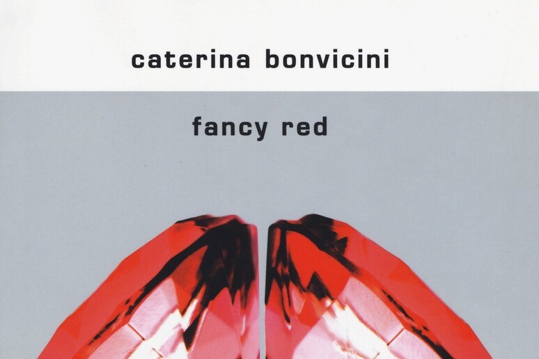 Il romanzo Fancy Red di Caterina Bonvicini - RIPRODUZIONE RISERVATA