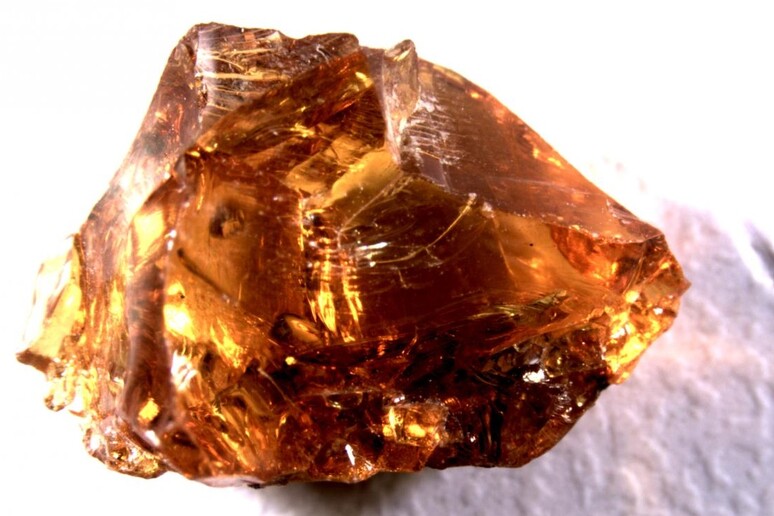 Uno dei campioni di ambra trovati in Spagna e analizzati (fonte: M. Murillo-Barroso and Alvaro Fernandez Flores) - RIPRODUZIONE RISERVATA